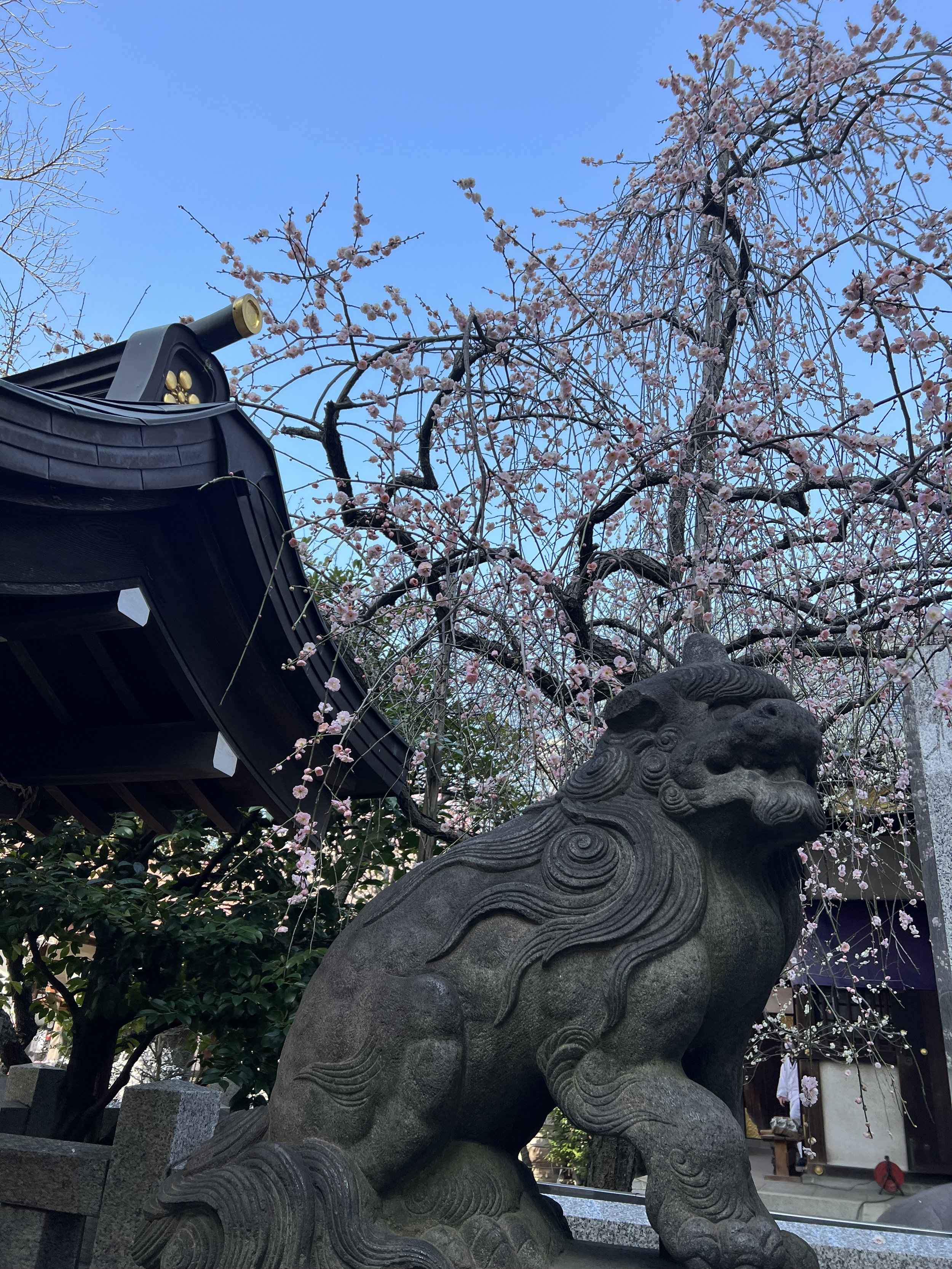 ⛩️ 미야케 신사 이미지 11